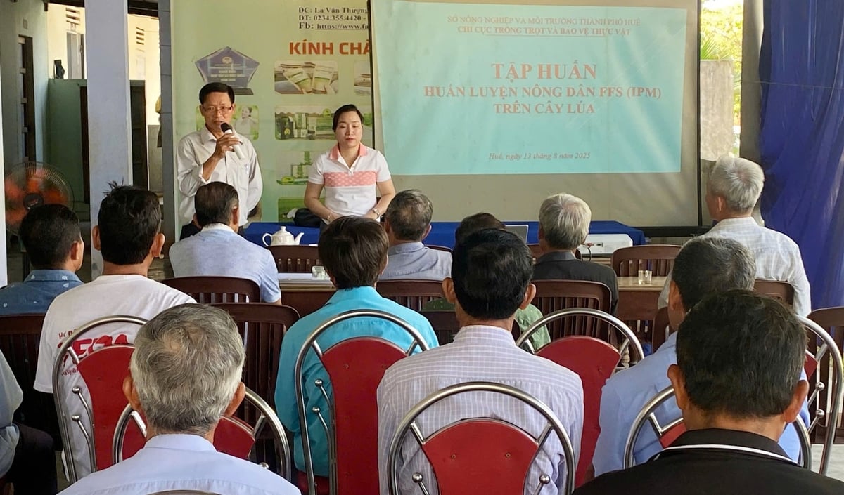 Tham gia các lớp tập huấn, nông dân nắm được các nguyên tắc sản xuất nông nghiệp an toàn, giảm đến mức thấp nhất việc sử dụng hóa chất trên đồng ruộng. Ảnh: Văn Dinh.