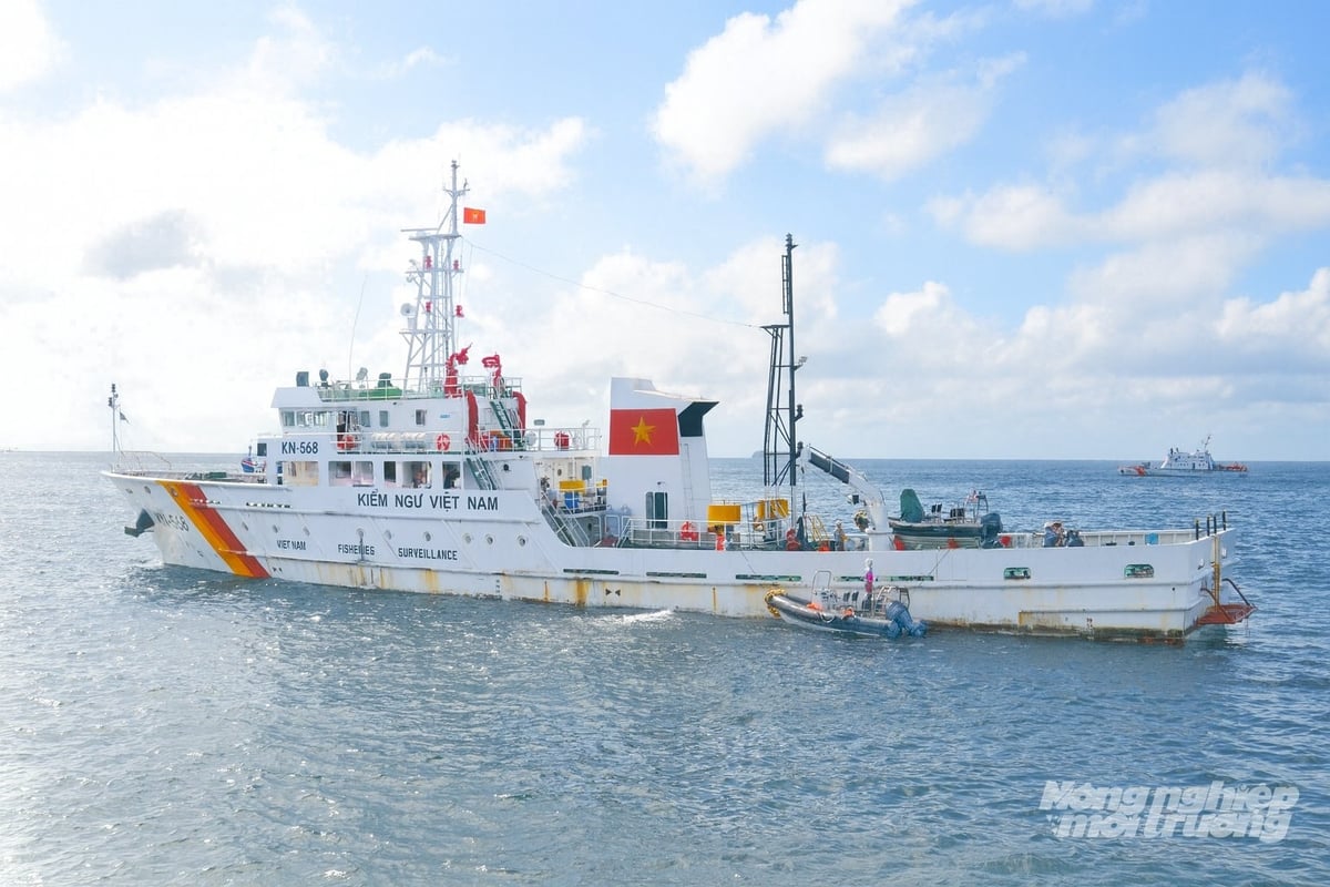 Cùng với hoạt động tuyên tuyền, các cơ quan chức năng sẽ phối hợp tăng cường tuần tra, kiểm soát trên biển, xử lý nghiêm các hành vi vi phạm khai thác IUU. Ảnh: Trung Chánh.