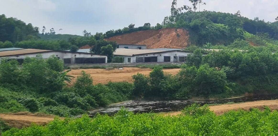 Sẽ đình chỉ trại lợn của ông Vũ Đình Huấn nếu không khắc phục các vấn đề tồn đọng. Ảnh: Việt Khánh.