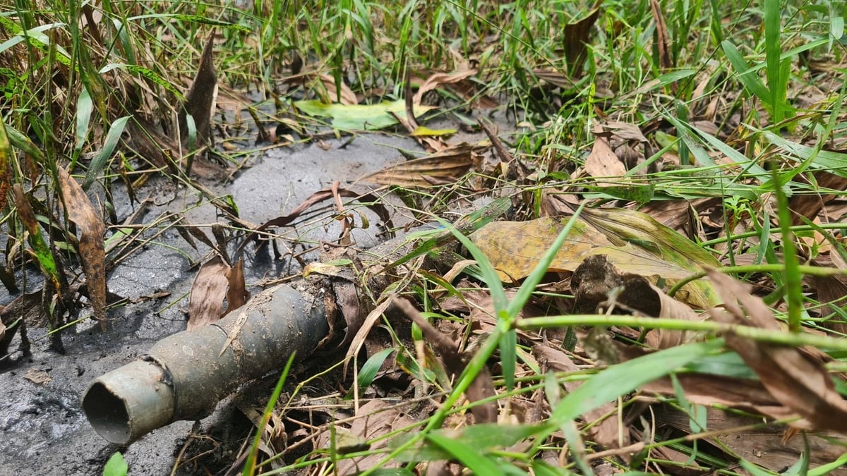 Có cơ sở nuôi lợn tại xã Nghĩa Lộc cố tình lắp đường ống dẫn để xả thải trực tiếp ra môi trường. Ảnh: Việt Khánh.