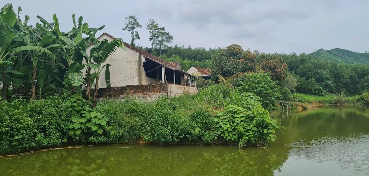 Mô hình nuôi lợn hình thức nông hộ của bà Ngô Thị Hằng cũng tồn tại nhiều vấn đề. Ảnh: Việt Khánh.