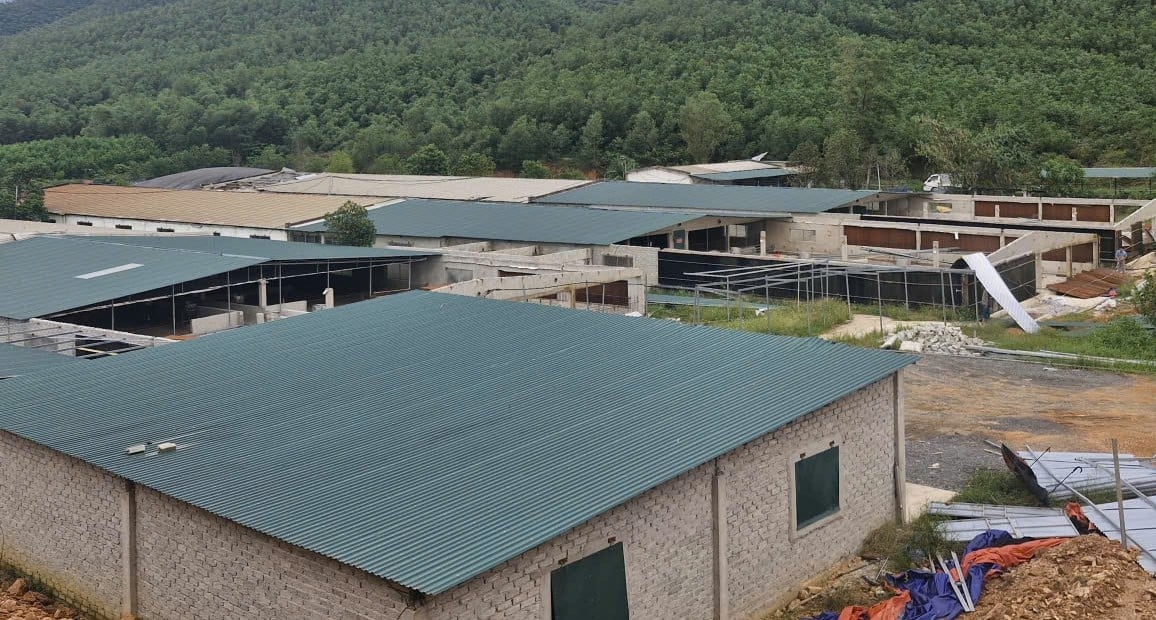 Đứng đầu danh sách gây ô nhiễm môi trường là trại lợn ở xóm Khe Sài 2, do ông Vũ Đình Huấn đứng tên pháp lý. Ảnh: Việt Khánh. 