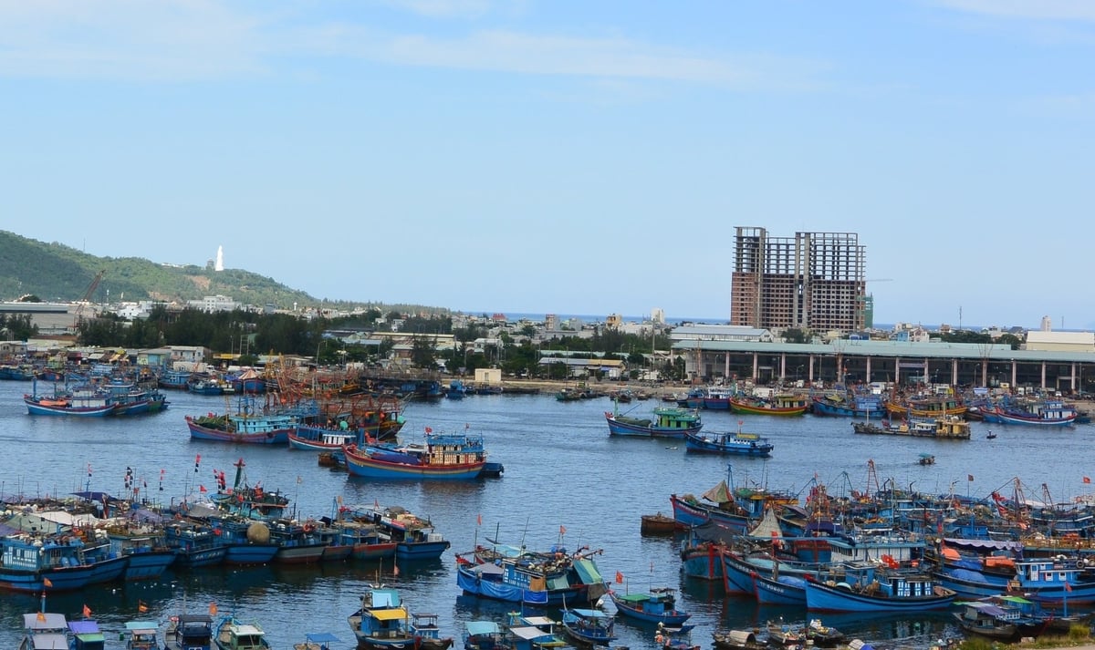 TP. Đà Nẵng mới hiện có 1.186 tàu cá đăng ký thường xuyên tham gia khai thác và dịch vụ hải sản ở các vùng biển xa. Ảnh: Lan Anh.