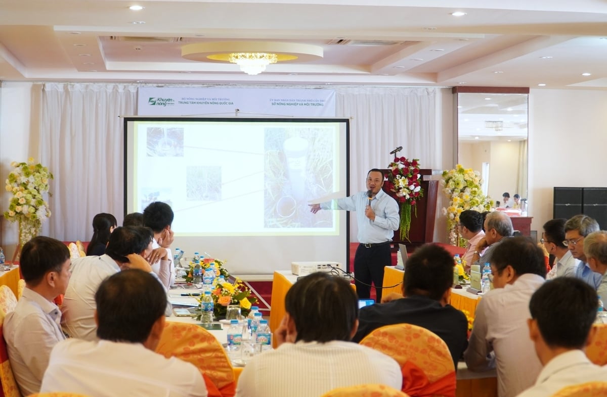 Tọa đàm 'Ứng dụng các công nghệ trong quản lý canh tác lúa chất lượng cao, phát thải thấp vùng ĐBSCL' là nền tảng để chuyển đổi nông nghiệp của vùng theo hướng số hóa, kinh tế xanh và bền vững. Ảnh: Kim Anh.