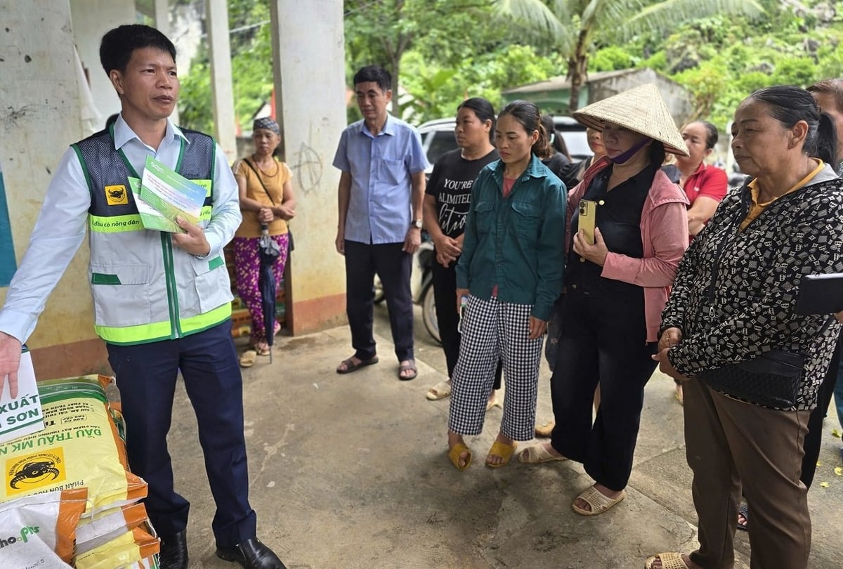 Các chuyên gia hướng dẫn người dân sử dụng phân bón giúp phục hồi cây trồng sau khi bị ngập úng. Ảnh: Hoàng Nghĩa.