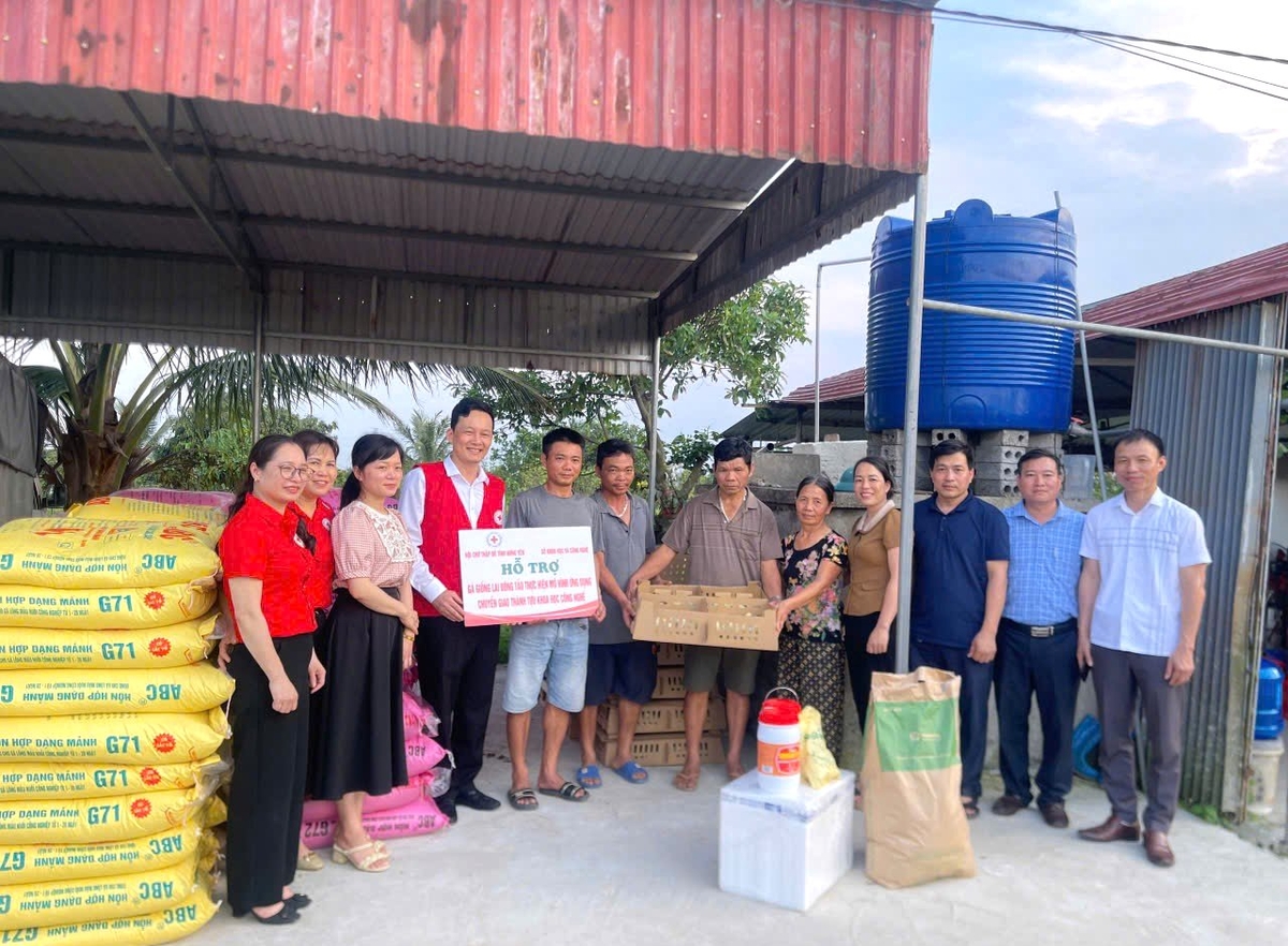 Cán bộ Hội Chữ thập đỏ tỉnh Hưng Yên và Sở Khoa học và Công nghệ tỉnh trao gà giống lai Đông Tảo cho các hộ gia đình tham gia mô hình. Ảnh: Thủy Nhi.