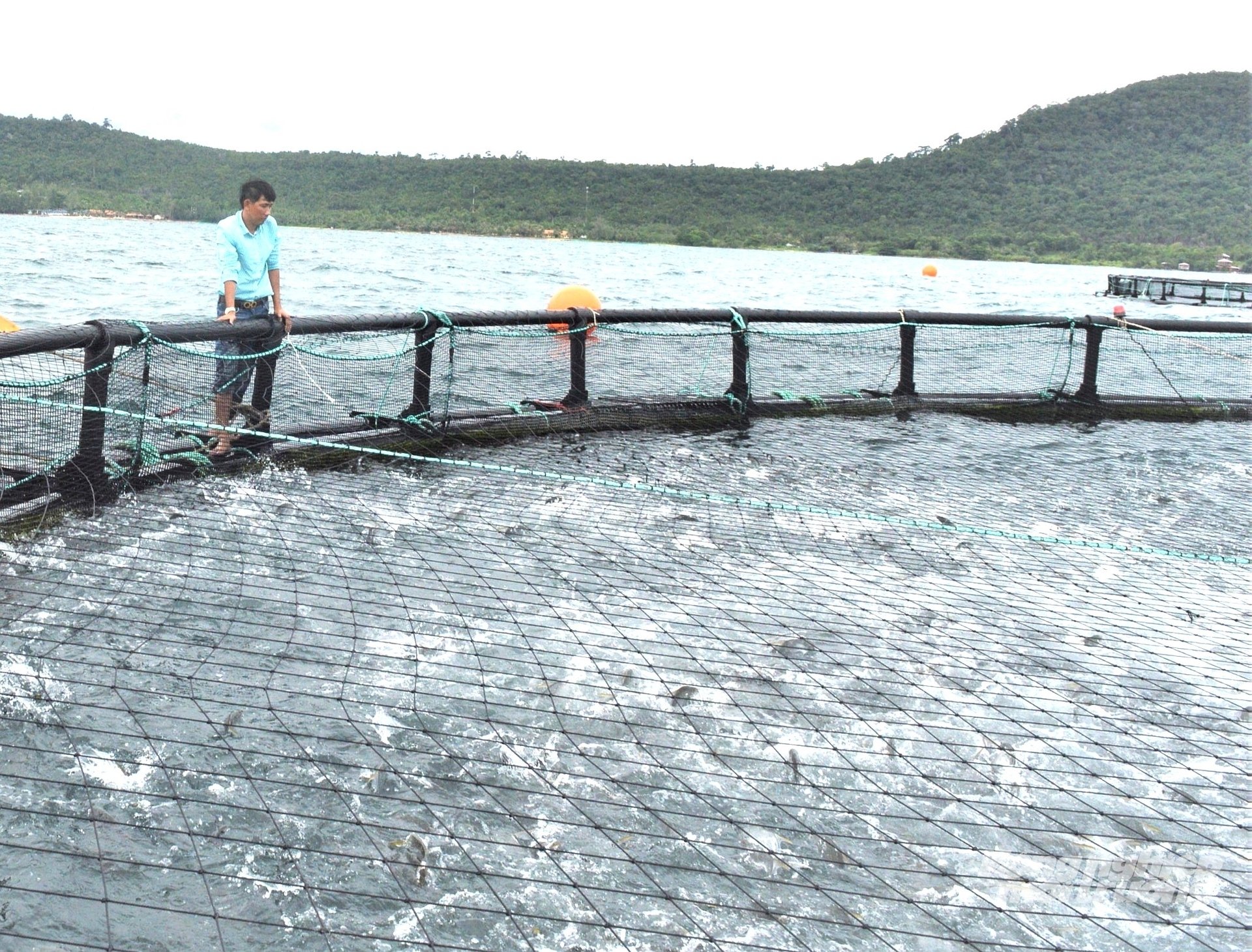 An Giang có vùng biển rộng và nhiều đảo, rất thuận lợi cho phát triển nuôi biển xa bờ bằng công nghệ hiện đại, với nhiều dối tượng nuôi có giá trị kinh tế cao. Ảnh: Trung Chánh. An Giang có vùng biển rộng và nhiều đảo, rất thuận lợi cho phát triển nuôi biển xa bờ bằng công nghệ hiện đại, với nhiều dối tượng nuôi có giá trị kinh tế cao. Ảnh: Trung Chánh.