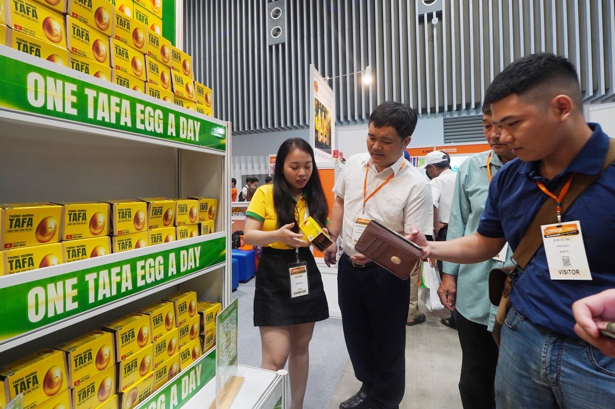 Khách tham quan triển lãm Vietstock 2025 tìm hiểu về sản phẩm trứng nướng Tafa. Ảnh: Nguyễn Thủy.