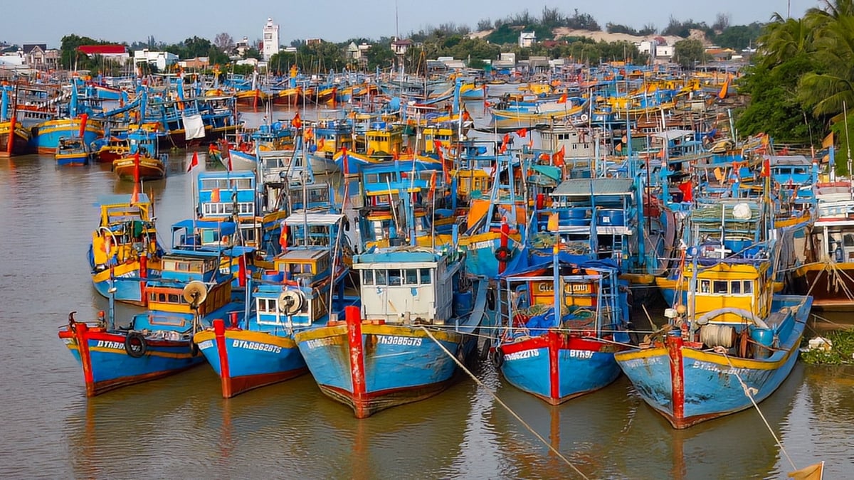 Với hàng nghìn phương tiện khai thác hoạt động thường xuyên trên các vùng biển, công tác quản lý tàu cá, đăng ký, đăng kiểm và giám sát hành trình (VMS) đang được tỉnh xác định là nhiệm vụ trọng tâm. Ảnh: Phạm Hoài.