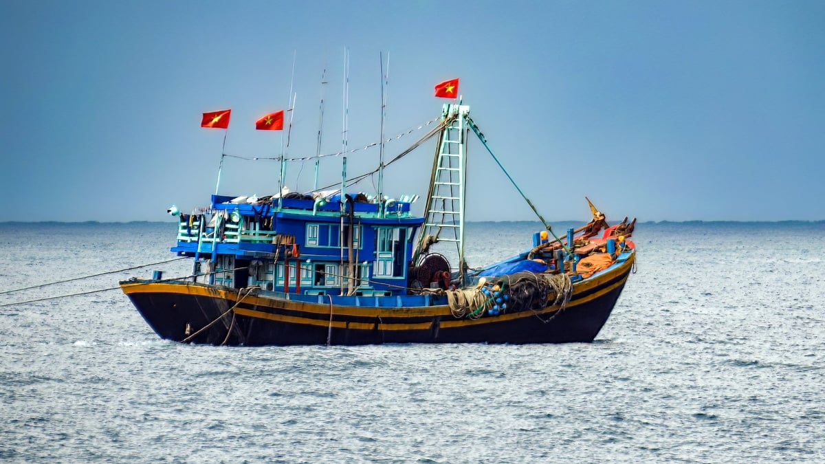 Theo Sở Nông nghiệp và Môi trường tỉnh Lâm Đồng, toàn tỉnh hiện có hàng trăm tàu cá hoạt động chủ yếu ở vùng lộng và ven bờ, trong đó vẫn còn một số tàu chưa hoàn tất thủ tục đăng ký, đăng kiểm hoặc chưa được cấp lại giấy phép khai thác thủy sản. Ảnh: P.H .
