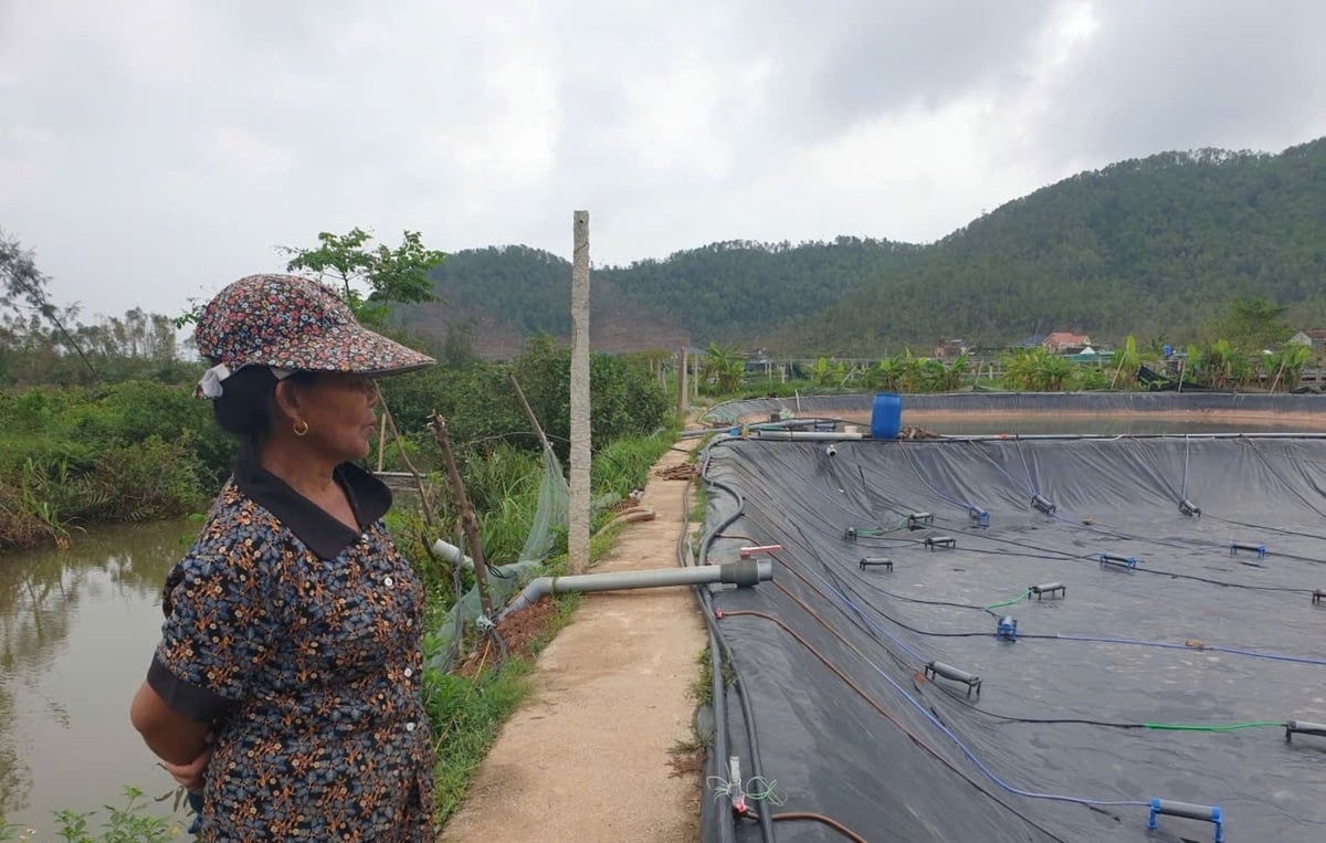 Người nuôi tôm ở Nghệ An bị thiệt hại lớn sau bão số 10. Ảnh: Đình Tiệp. Người nuôi tôm ở Nghệ An bị thiệt hại lớn sau bão số 10. Ảnh: Đình Tiệp.