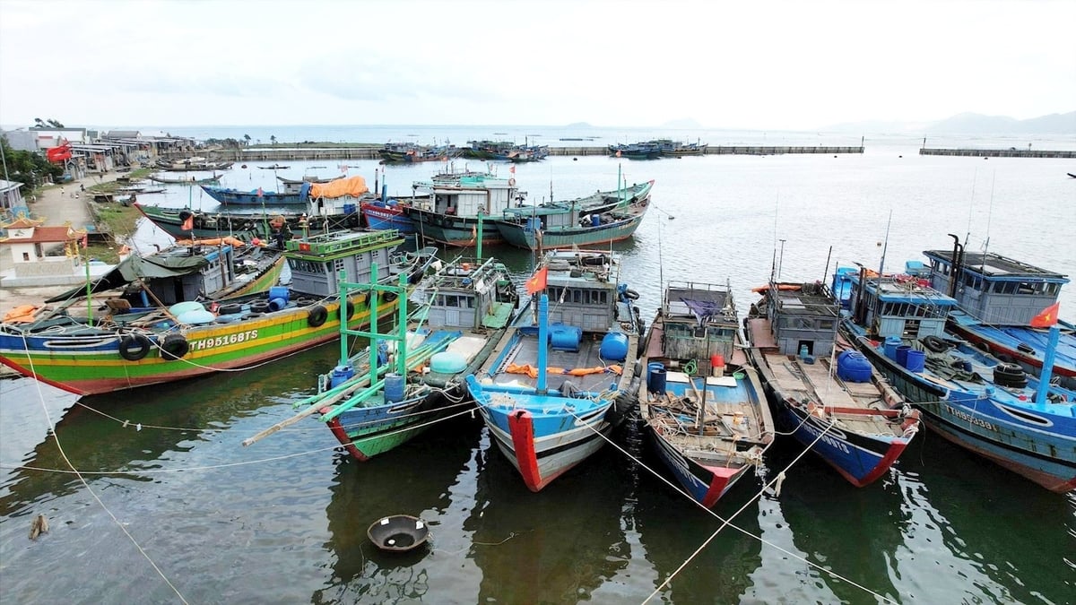 TP Huế có nhiều khu vực neo đậu tránh trú bão và các khu vực khác phục vụ khai thác, chế biến thủy hải sản. Ảnh: Văn Dinh.