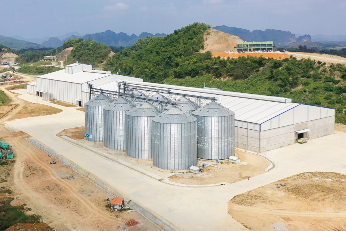 Nhà máy sản xuất thức ăn chăn nuôi Xuân Thiện Thanh Hóa có công suất lên tới 500.000 tấn/năm. Ảnh: XT.