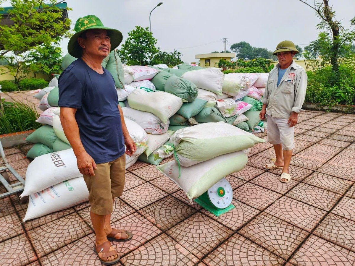 Sau khi thu hoạch bằng máy gặt đập liên hợp, nông dân cân thóc cho HTX. Ảnh: Dương Đình Tường. Sau khi thu hoạch bằng máy gặt đập liên hợp, nông dân cân thóc cho HTX. Ảnh: Dương Đình Tường.