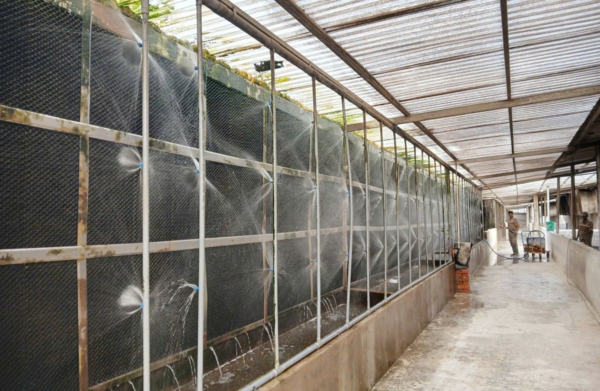 Các trang trại chăn nuôi có quy mô lớn ở TP Huế đã chủ động ứng dụng các giải pháp số hóa trong chăn nuôi. Ảnh: Văn Dinh. Các trang trại chăn nuôi có quy mô lớn ở TP Huế đã chủ động ứng dụng các giải pháp số hóa trong chăn nuôi. Ảnh: Văn Dinh.
