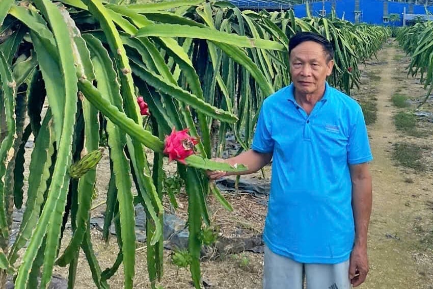 Ông Nguyễn Quang Vinh, Giám đốc HTX nông nghiệp Ngọc Hoàng. Ảnh: Đức Bình.
