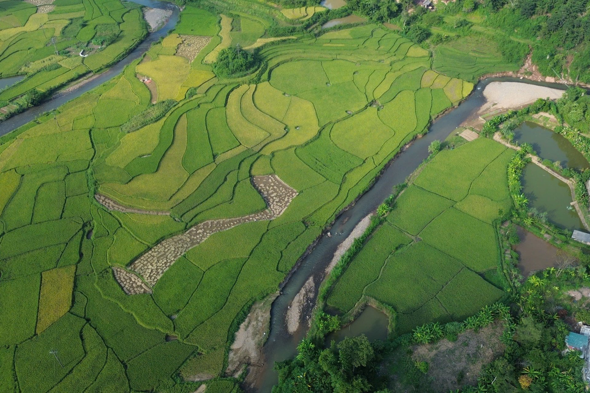 Mường Giôn giữ môi trường sinh thái đồng ruộng xanh, sạch nhờ giảm thiểu sử dụng thuốc BVTV và thu gom bao gói thuốc sau sử dụng. Ảnh: Nguyễn Nga.