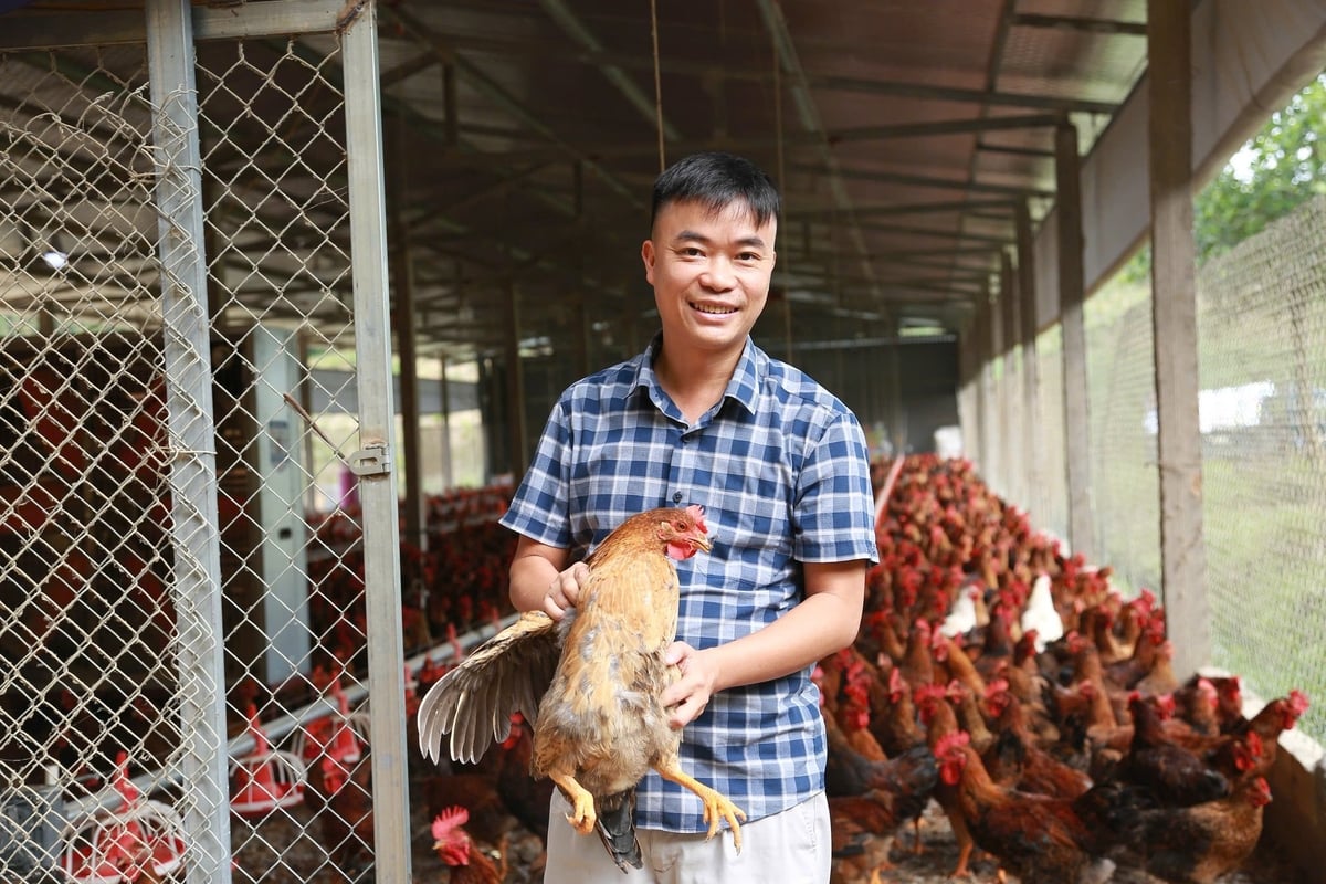 Ông Nguyễn Hồ Dũng, Giám đốc Doanh nghiệp tư nhân Ngọc Lợi đã xây dựng chuỗi chăn nuôi gia cầm khép kín, gắn kết chặt chẽ với người dân. Ảnh: Thanh Ngà.