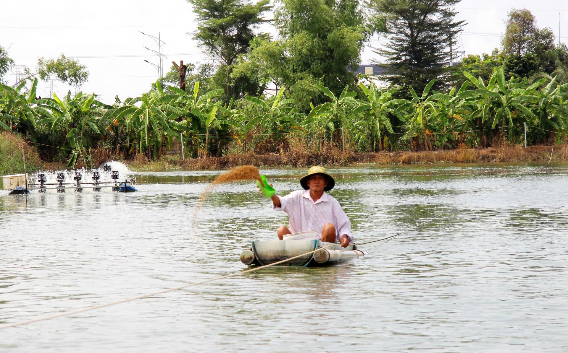 Việc xây dựng chuỗi liên kết để kiến tạo giá trị xanh trở thành nhiệm vụ trọng tâm của các doanh nghiệp và đơn vị sản xuất. Ảnh: Hồng Thắm.