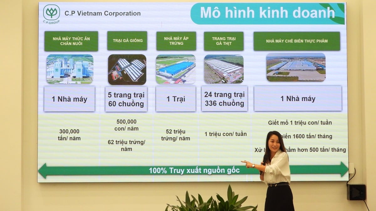 CPV Food Bình Phước là tổ hợp chuỗi sản xuất gia cầm khép kín được vận hành và giám sát bằng hệ thống số hóa hiện đại. Ảnh: Trần Trung.