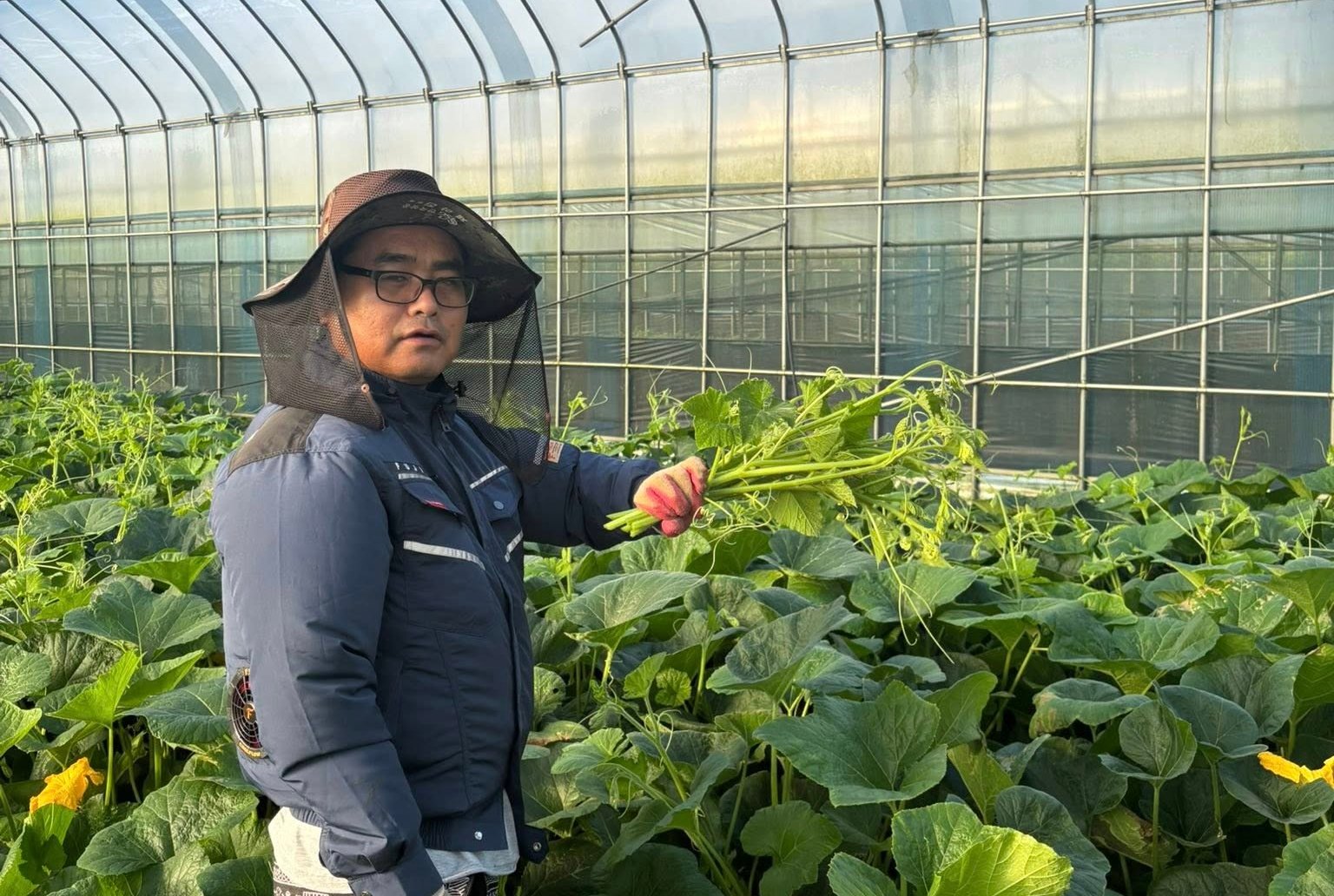 Nông dân Hàn Quốc xem bảo hiểm nông nghiệp là người bạn đồng hành. Ảnh: Lê San. Nông dân Hàn Quốc xem bảo hiểm nông nghiệp là người bạn đồng hành. Ảnh: Lê San.
