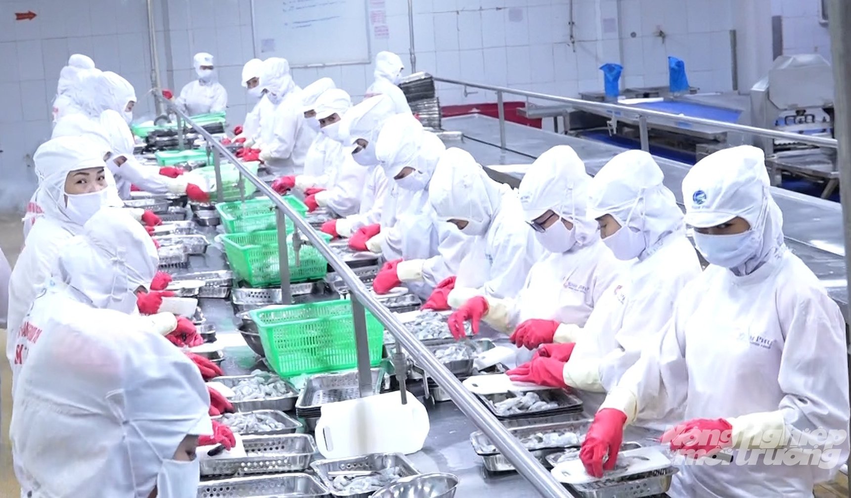 Cùng với quy hoạch phát triển vùng nuôi trồng, Cần Thơ có nhiều nhà máy chế biến thủy sản quy mô lớn, tạo thành chuỗi liên kết khép kín. Ảnh: Trung Chánh.