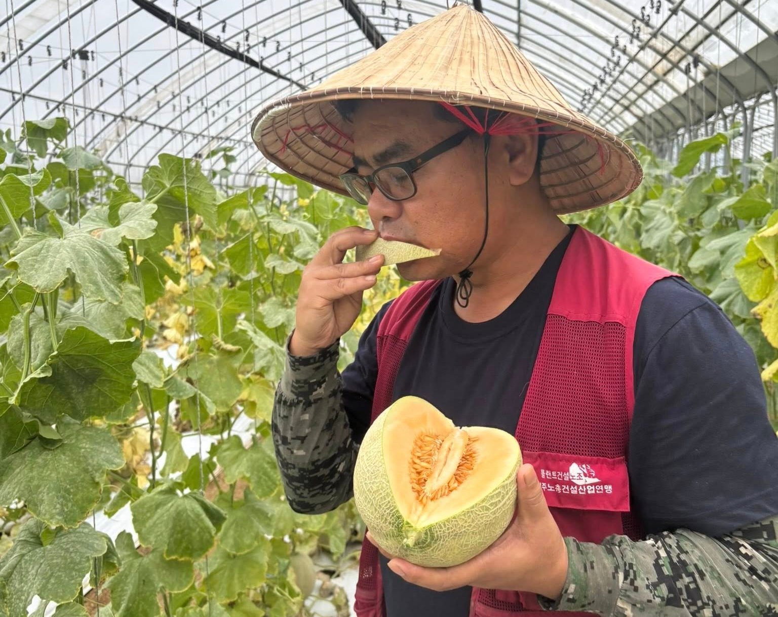 Sự đồng hành giữa doanh nghiệp bảo hiểm, nhà nước và đồng chia sẻ của nông dân là nền tảng vững chắc giúp bảo hiểm nông nghiệp phát triển mạnh ở Hàn Quốc. Ảnh: Lê San. Sự đồng hành giữa doanh nghiệp bảo hiểm, nhà nước và đồng chia sẻ của nông dân là nền tảng vững chắc giúp bảo hiểm nông nghiệp phát triển mạnh ở Hàn Quốc. Ảnh: Lê San.