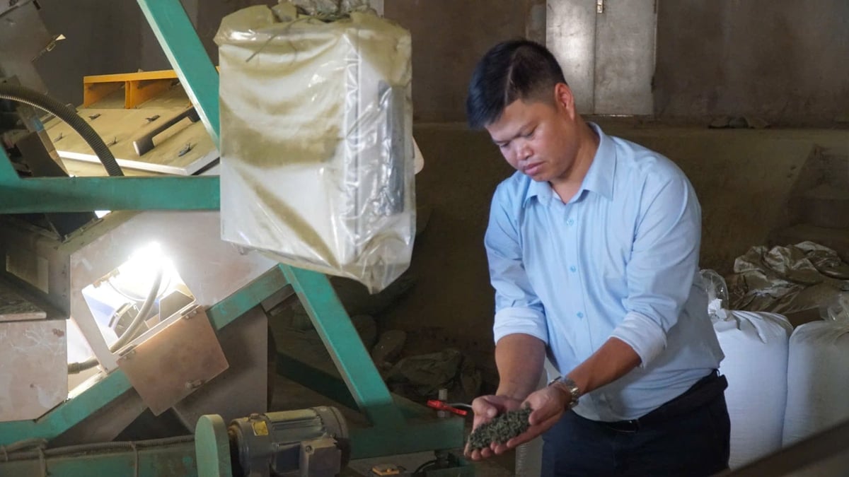 Anh Đỗ Viết Trung đầu tư hơn 40 tỷ đồng cho hệ thống chế biến chè. Ảnh: Đức Bình.
