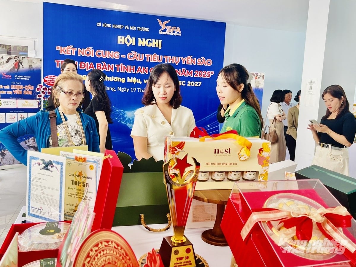 Nghề nuôi yến ở An Giang đang phát triển rất hiệu quả, sản lượng tổ yến trong năm 2025 dự kiến đạt 35 tấn. Ảnh: Lê Hoàng Vũ.