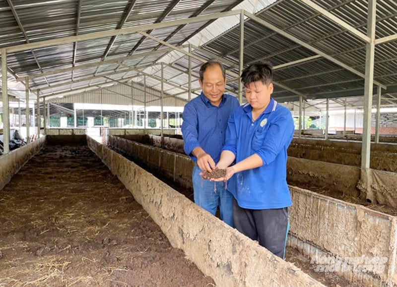 Ông Nguyễn Văn Chào (trái), Giám đốc Công ty TNHH Thành Chào kiểm tra chất lượng trùn quế. Ảnh: Lê Hoàng Vũ. Ông Nguyễn Văn Chào (trái), Giám đốc Công ty TNHH Thành Chào kiểm tra chất lượng trùn quế. Ảnh: Lê Hoàng Vũ.