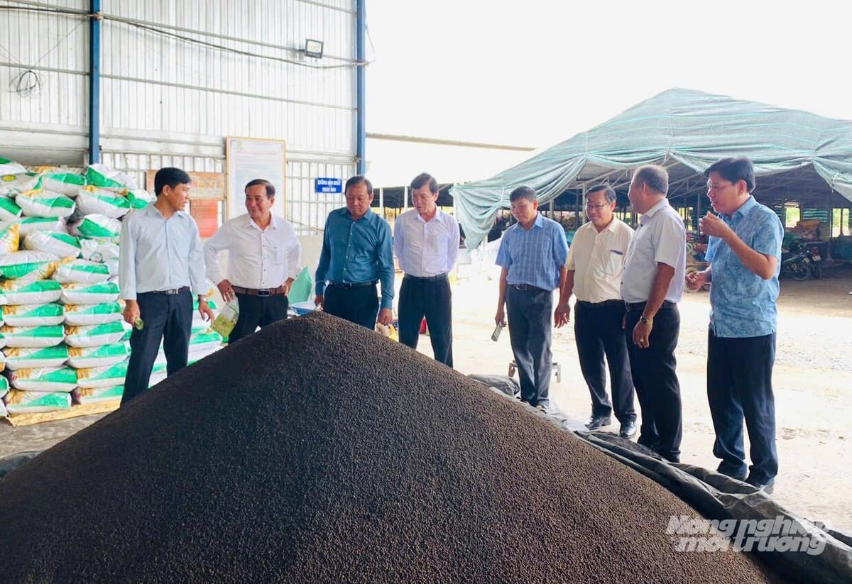 Đoàn công tác tỉnh Đồng Tháp tham quan khu vực sản xuất và kho thành phẩm phân bón hữu cơ của Công ty TNHH Thành Chào. Ảnh: Lê Hoàng Vũ. Đoàn công tác tỉnh Đồng Tháp tham quan khu vực sản xuất và kho thành phẩm phân bón hữu cơ của Công ty TNHH Thành Chào. Ảnh: Lê Hoàng Vũ.