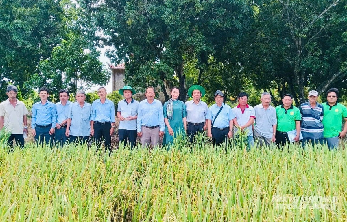 Công ty TNHH Thành Chào tham gia rất hiệu quả vào chủ trương tái cơ cấu nông nghiệp của tỉnh Đồng Tháp, đặc biệt trong phát triển mô hình kinh tế xanh và tuần hoàn. Ảnh: Lê Hoàng Vũ. Công ty TNHH Thành Chào tham gia rất hiệu quả vào chủ trương tái cơ cấu nông nghiệp của tỉnh Đồng Tháp, đặc biệt trong phát triển mô hình kinh tế xanh và tuần hoàn. Ảnh: Lê Hoàng Vũ.