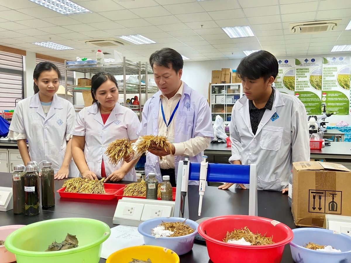 Nghiên cứu chất lượng đất trong phòng thí nghiệm tại Trường Nông nghiệp (Đại học Cần Thơ). Ảnh: Kim Anh.