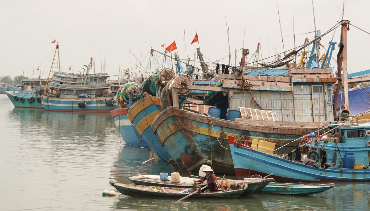 TP.HCM sẽ gom tất cả tàu cá không đủ điều kiện cấp phép vào những bãi tập kết và nhờ quần chúng nhân dân cùng tham gia giám sát, không để xuất bến. Ảnh: Lê Bình.