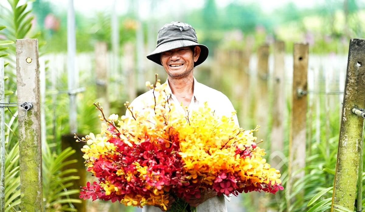 Ông Phúc, một trong những lao động đã gắn bó với vườn lan Huyền Thoại hơn 10 năm. Ảnh: Phúc Lập.