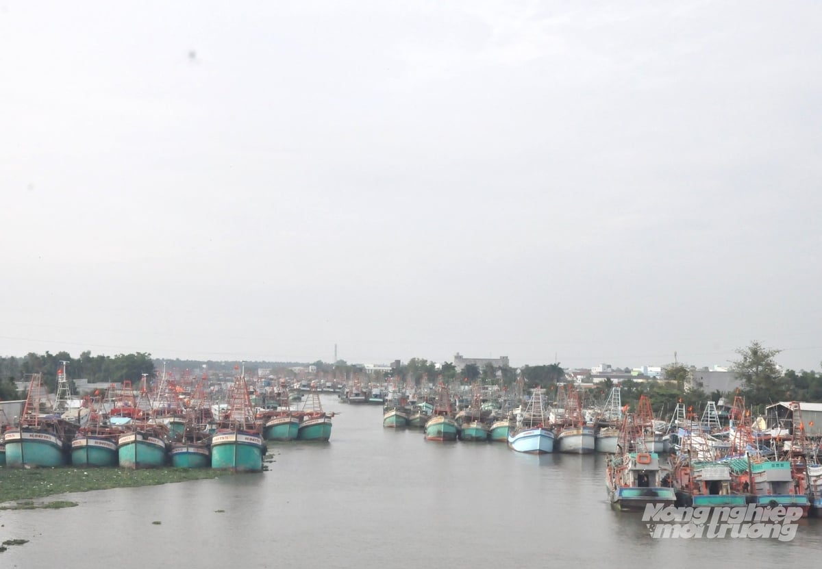 Nhằm thực hiện công tác quản lý đội tàu khai thác, chống khai thác IUU, qua rà soát, An Giang xác định toàn tỉnh có 188 tàu cá thuộc diện mất tích, do hết hạn giấy phép hoặc không rõ hiện trạng. Ảnh: Trung Chánh.