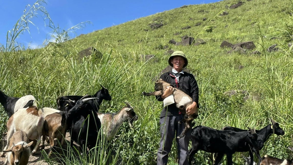Vàng A Là bên đàn dê của mình. Ảnh: Hoàng Châu. 