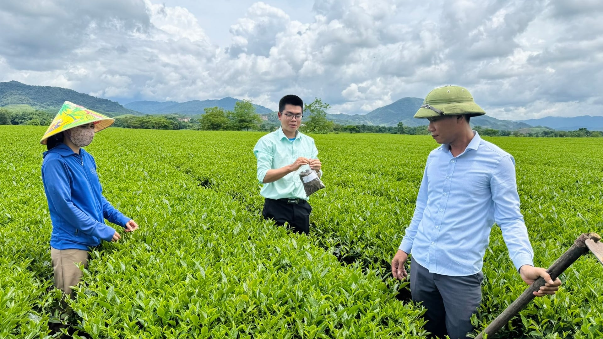 Trung tâm Khuyến nông Hà Tĩnh phối hợp với Công ty cổ phần Chứng nhận và Kiểm nghiệm FAO kiểm tra, đánh giá chứng nhận VietGAP. Ảnh: Ánh Nguyệt.