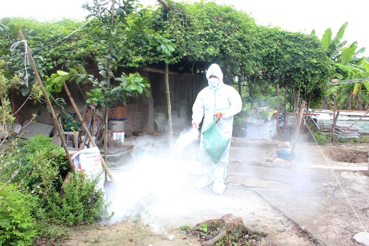 Thực hiện nghiêm công tác tiêu độc khử trùng đảm bảo an toàn dịch bệnh với đàn vật nuôi. Ảnh: Lan Anh.