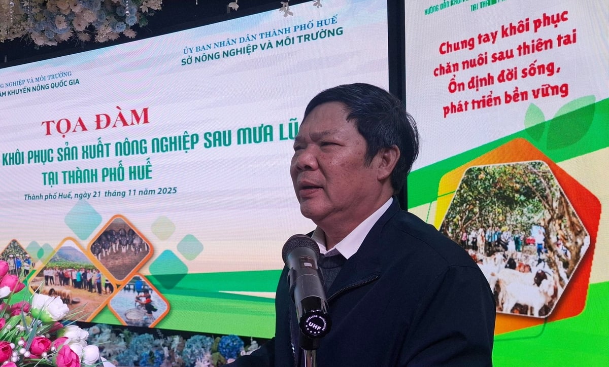 Ông Lê Văn Anh - Phó Giám đốc Sở Nông Nghiệp và Môi trường TP Huế cho biết sau mưa lũ, ngành nông nghiệp Thành phố đã chủ động hướng dẫn và cùng bà con nông dân tập trung khôi phục sản xuất. Ảnh: Văn Dinh.