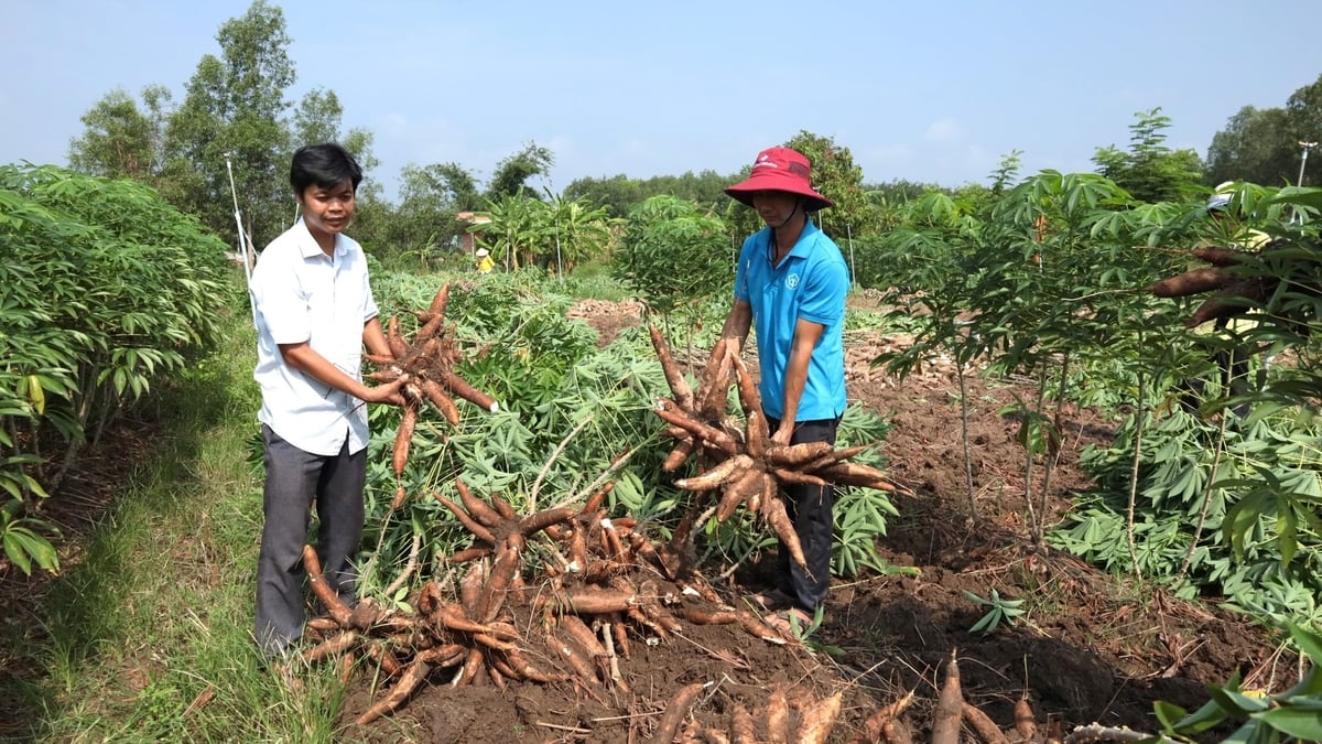 Nhập chú thích ảnh Nhập chú thích ảnh