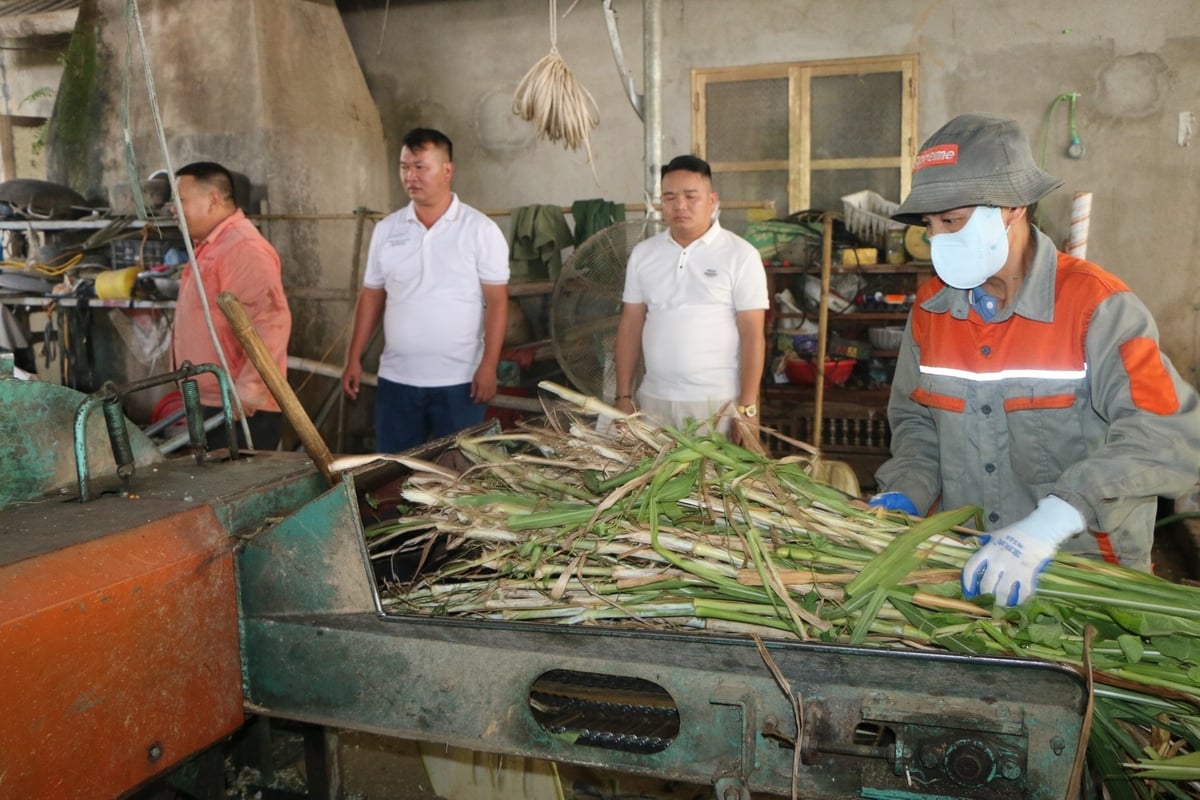 Hợp tác xã đã tạo được việc làm cho rất nhiều lao động địa phương vươn lên thoát nghèo. Ảnh: Thanh Ngà. Hợp tác xã đã tạo được việc làm cho rất nhiều lao động địa phương vươn lên thoát nghèo. Ảnh: Thanh Ngà.