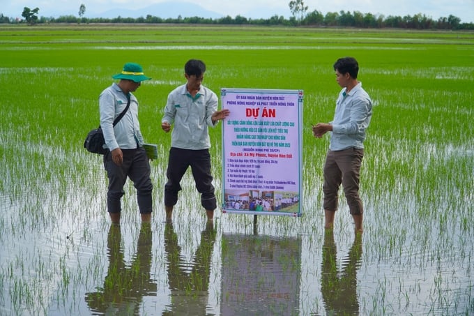 Khuyến nông dịch vụ là sự chuyển đổi tư duy mạnh mẽ nhất từ phương thức cung cấp miễn phí sang cung cấp dịch vụ theo nhu cầu. Ảnh: LHV.