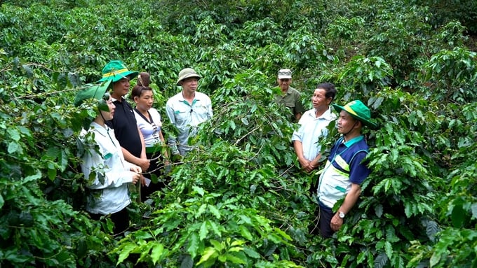 Khuyến nông Việt Nam đã sẵn sàng thực hiện sứ mệnh của mình với tâm thế chủ động và trách nhiệm cao để phụng sự nông dân. Ảnh: Tùng Đinh.