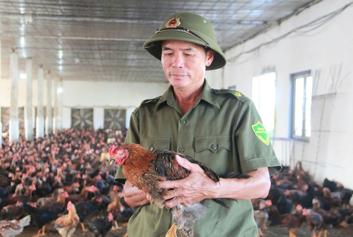 Ông Đặng Quốc Thai cho biết, nhiều hộ trong Hợp tác xã đã thoát nghèo, xây nhà mới, đời sống thay đổi tích cực. Ảnh: Hoàng Phong. Ông Đặng Quốc Thai cho biết, nhiều hộ trong Hợp tác xã đã thoát nghèo, xây nhà mới, đời sống thay đổi tích cực. Ảnh: Hoàng Phong.