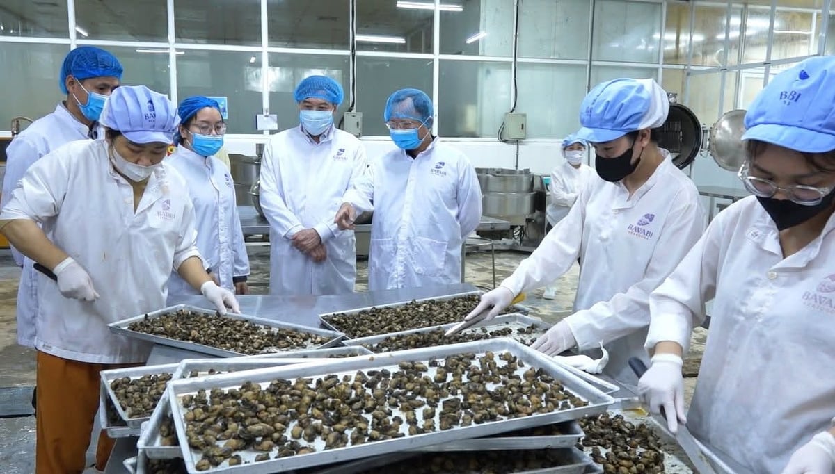 Cơ sở chế biến sâu, ứng dụng công nghệ cao tại Vân Đồn. Ảnh: Ngân Hà. 