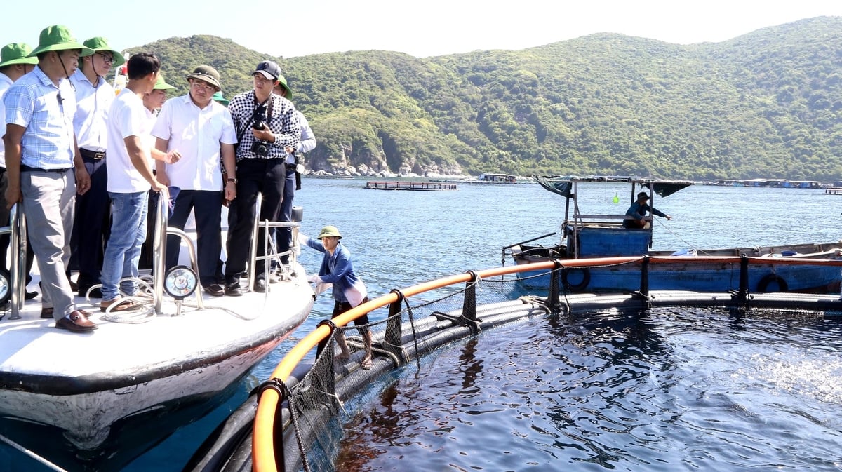 Lãnh đạo tỉnh Khánh Hòa thăm mô hình nuôi biển công nghệ cao. Ảnh: Kim Sơ.