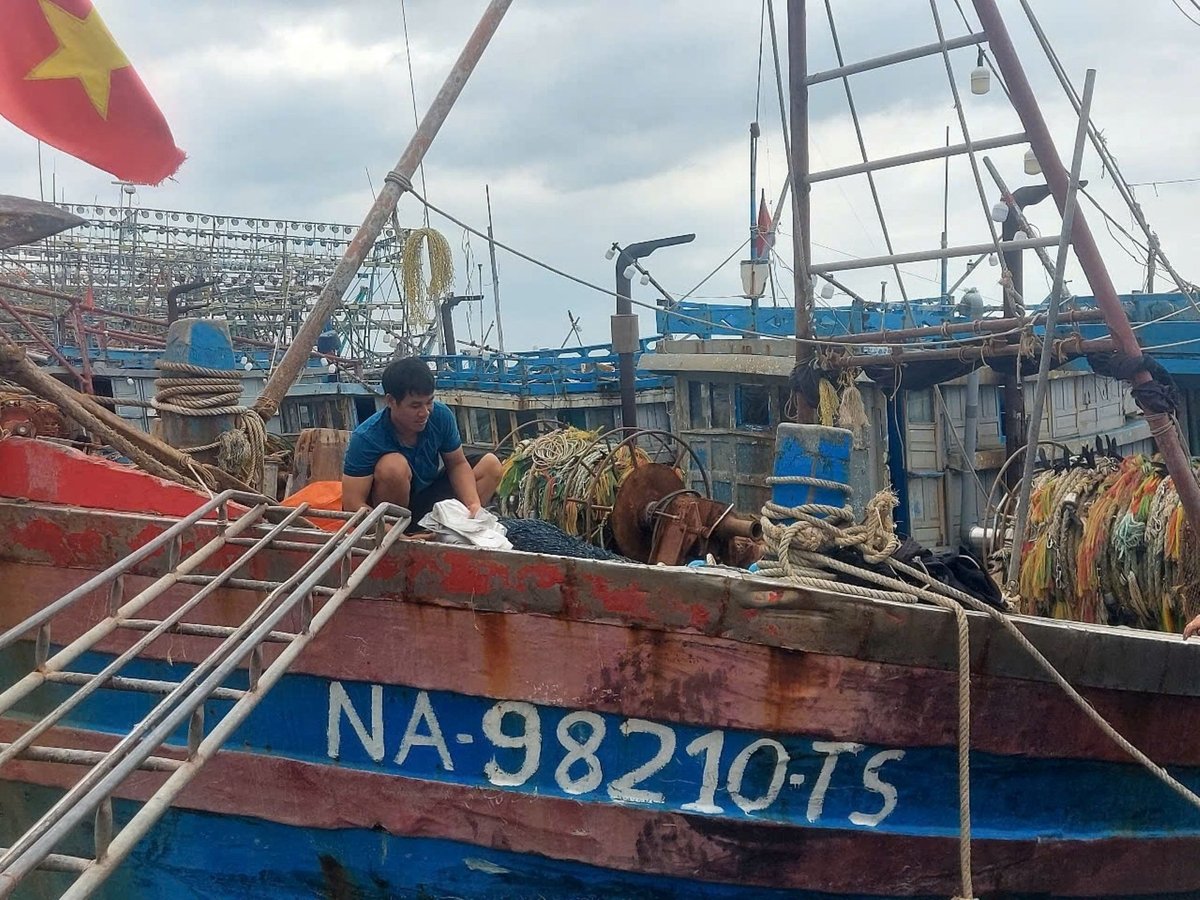 Tỉnh Nghệ An đang quyết liệt chống khai thác IUU, hướng tới phát triển nghề cá bền vững. Ảnh: Đình Tiệp.