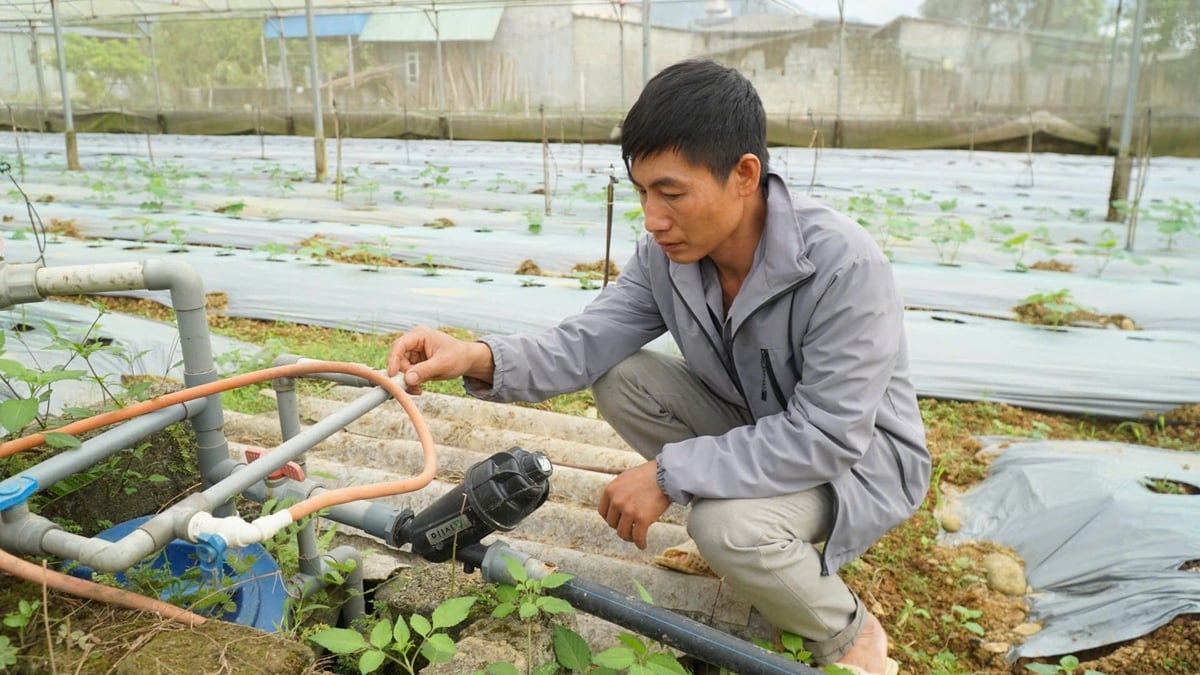 Máy lọc nước được anh Vượng đầu tư hơn chục triêu đồng, đảm bảo chất lượng nước tưới. Ảnh: Đức Bình.