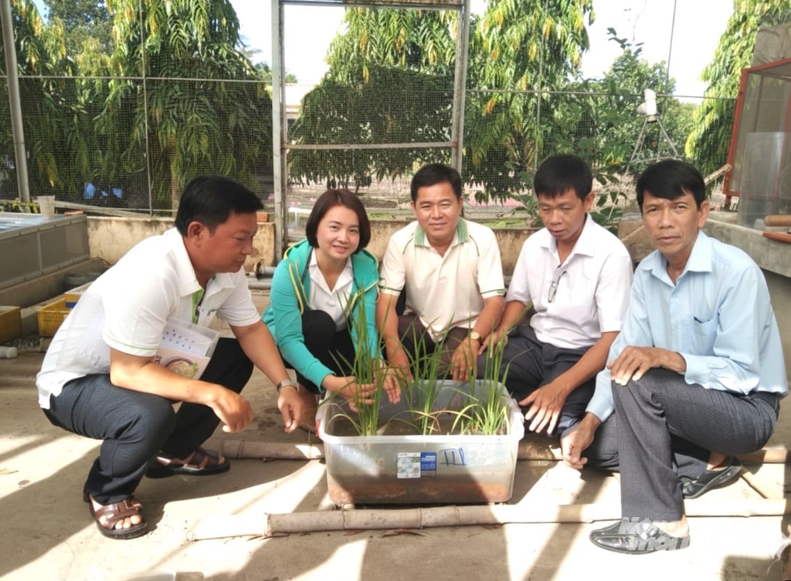 An Giang tổ chức các lớp đào tạo giảng viên nguồn về IPHM nhằm tuyên truyền, phổ biến giải pháp kỹ thuật IPHM đến từng thửa ruộng. Ảnh: Trung Chánh. An Giang tổ chức các lớp đào tạo giảng viên nguồn về IPHM nhằm tuyên truyền, phổ biến giải pháp kỹ thuật IPHM đến từng thửa ruộng. Ảnh: Trung Chánh.